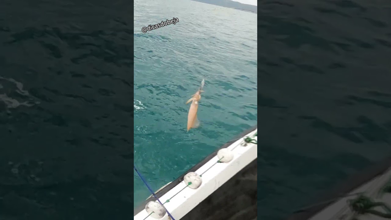 GRANDA MOCA DE CHOCO POR  @nunoletras  @Dicasdobeja 