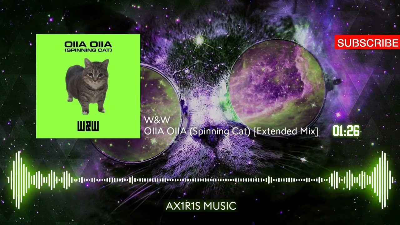 W&W - OIIA OIIA (Spinning Cat) [Extended Mix]