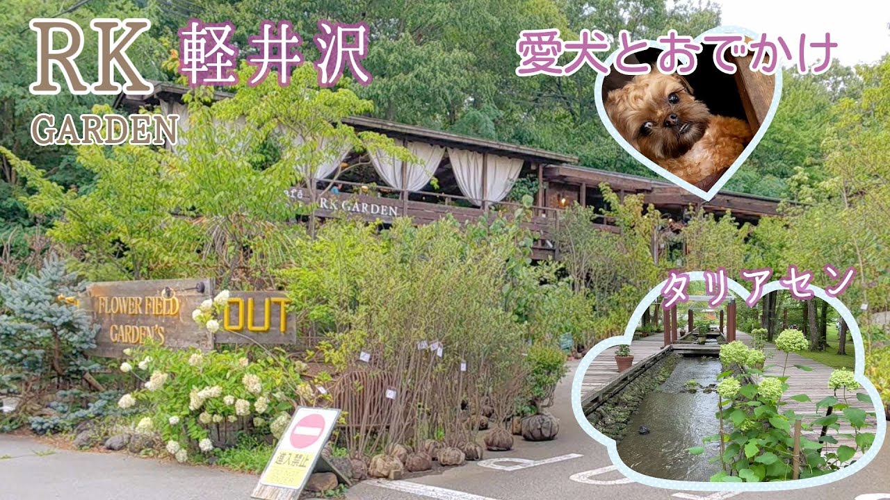わんことおでかけ♡RK GARDENとタリアセン。
