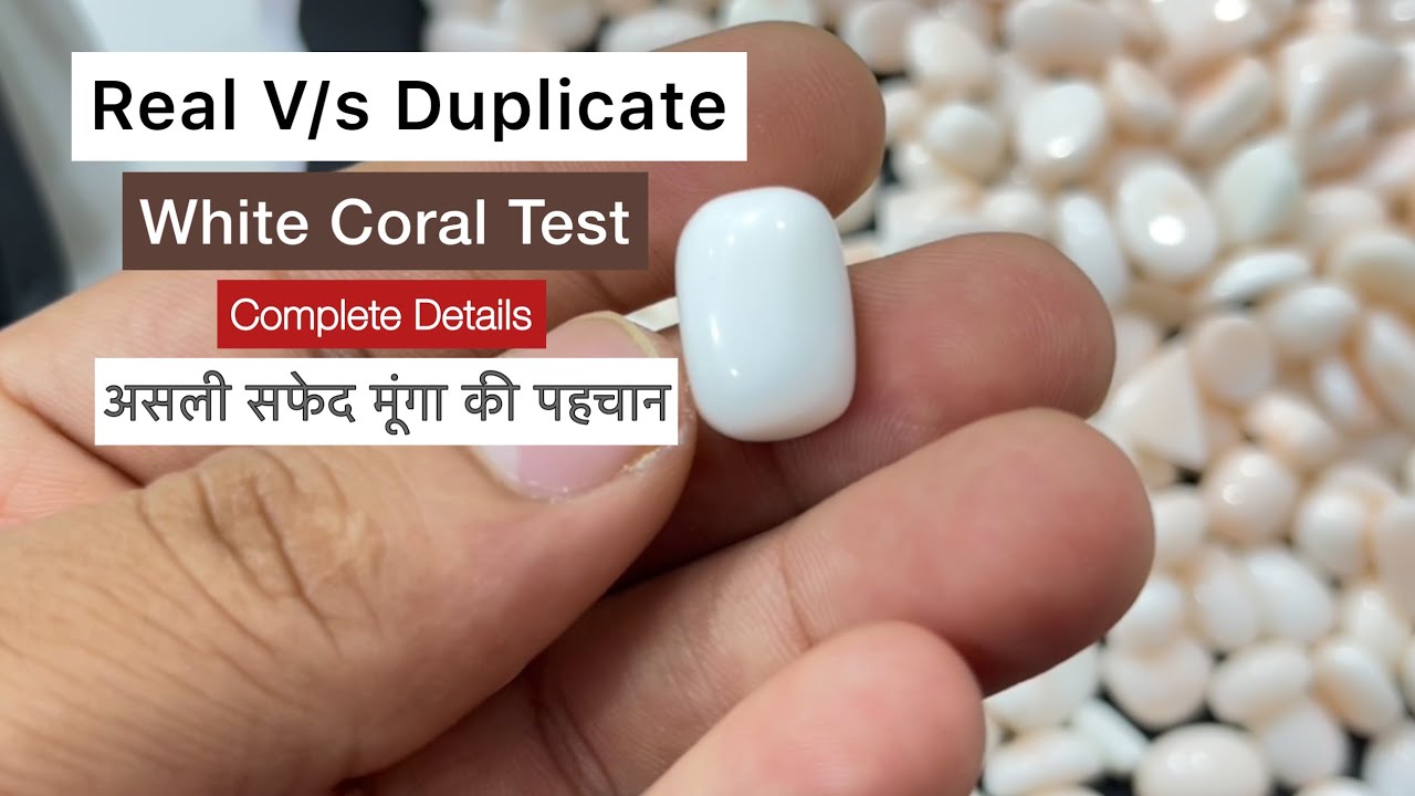 How to identify real original White coral |असली सफेद मूंगा की पहचान | Real V/s Duplicate White coral