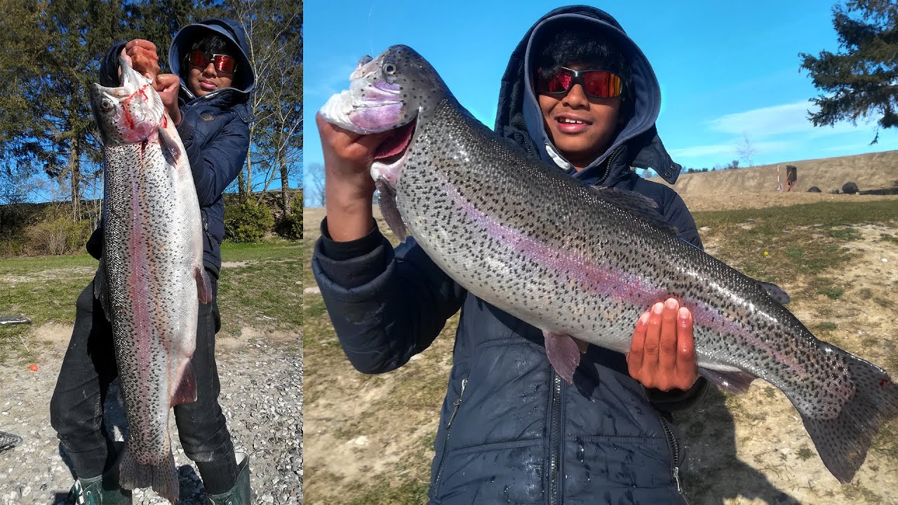 Monstrous [5 kg+] Rainbow Trout from Poppelsøen