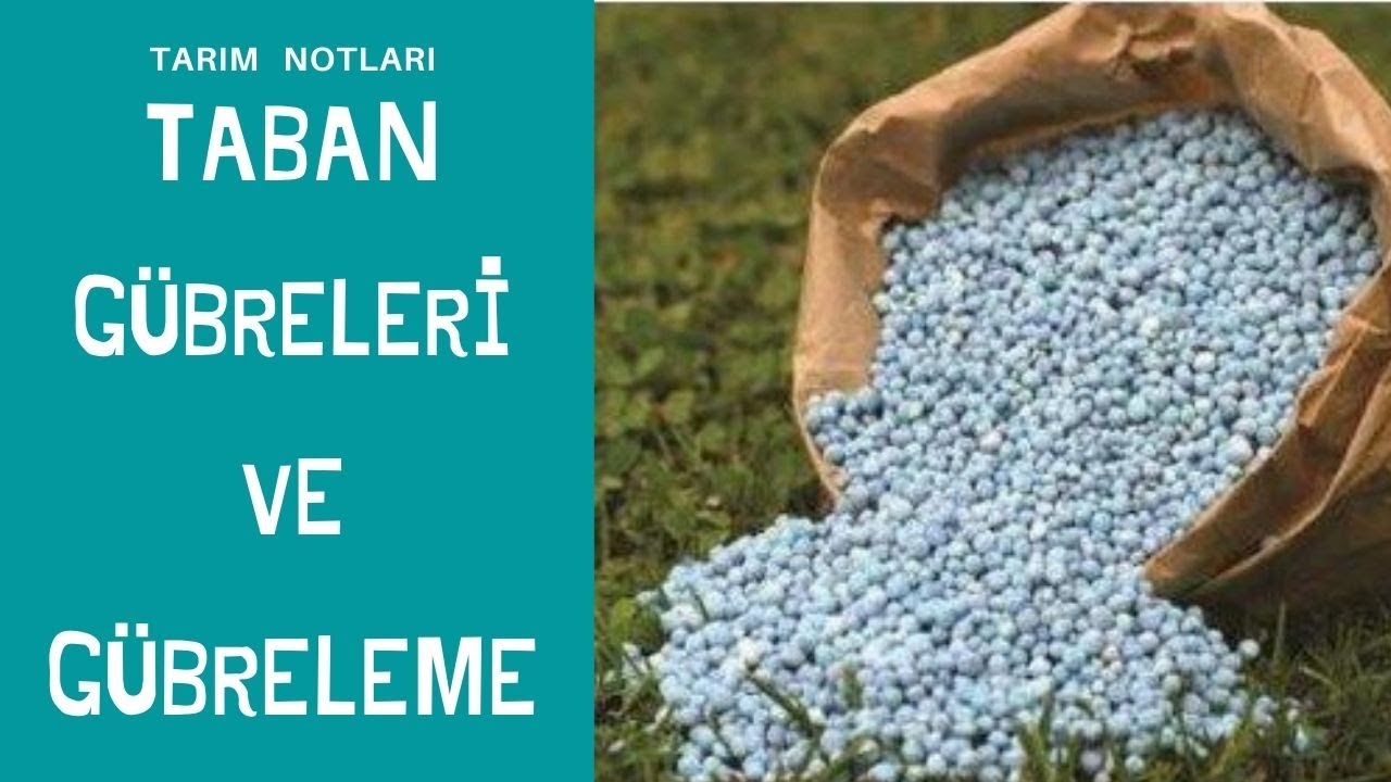 TABAN GÜBRESİ // kompoze gübreler nelerdir ve ne işe yarar  15 15 15 , dap , amonyum sülfat ...