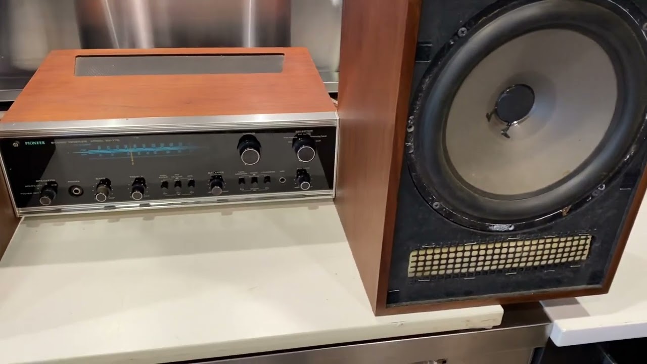 Vintage Dynaco A-25 Speakers