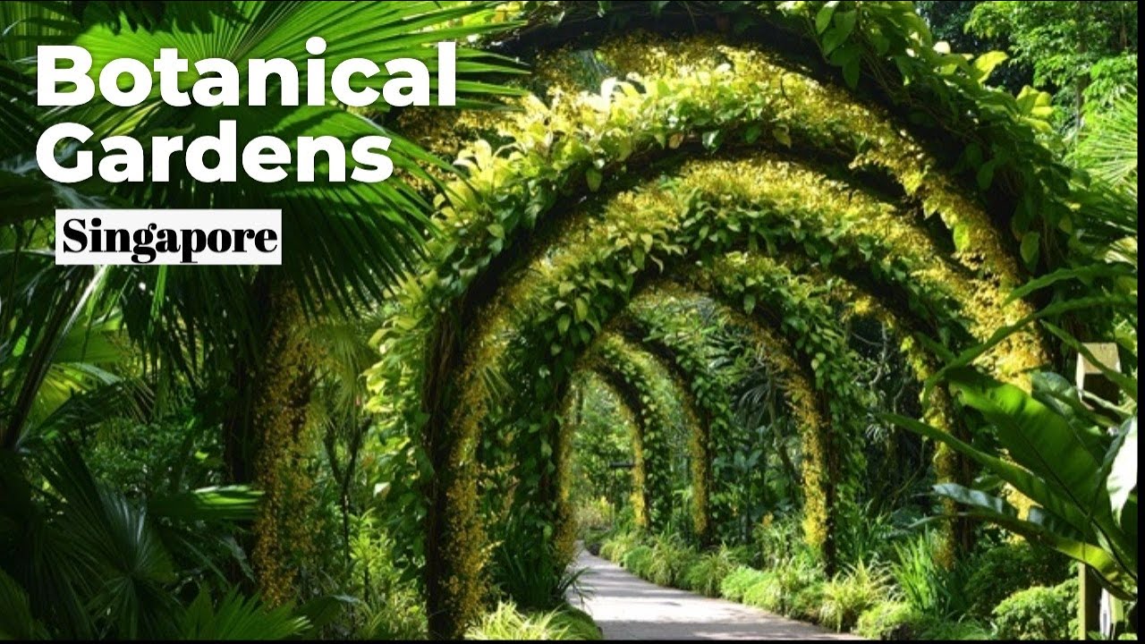 Exploring the World's Most Incredible Botanical Gardens