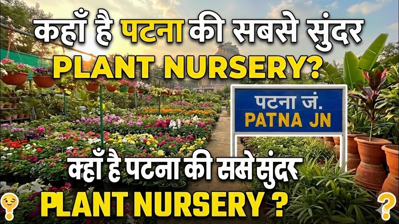Kaha Hai Patna ki Sabse Sundar Plant Nursery🤷‍♀️?