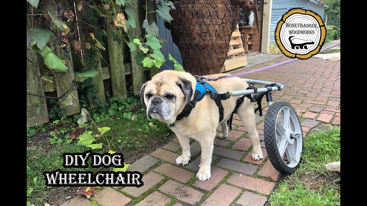 DIY Dog Wheelchair || How-To