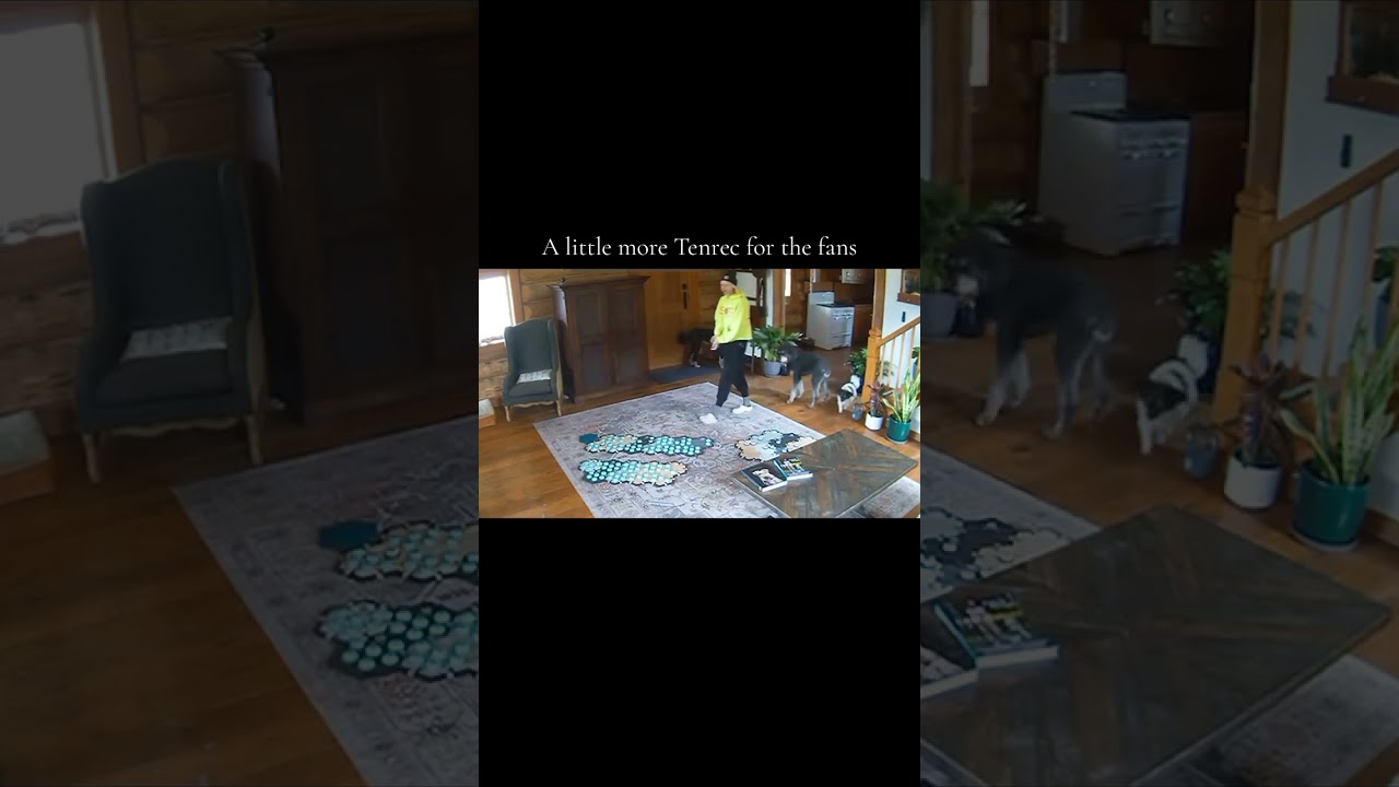 But the water mom c’mon🙄 #iambunny  #shorts