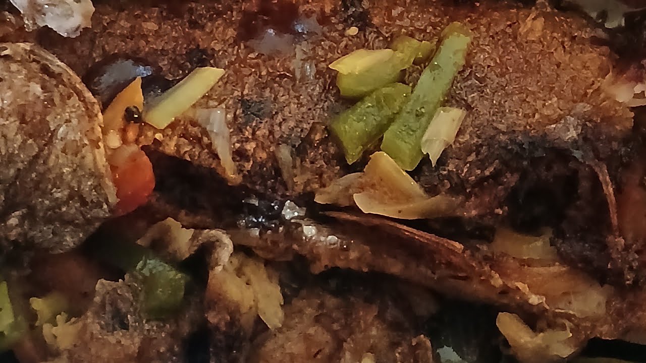 PAT’S KITCHEN 🥣🍜🍝🍛🍳🍽 is live! HAPPY TUESDAY LOVELIES 😊  BROWN STEWED FISH 🐟/ GARDEN RICE 🍚 😋
