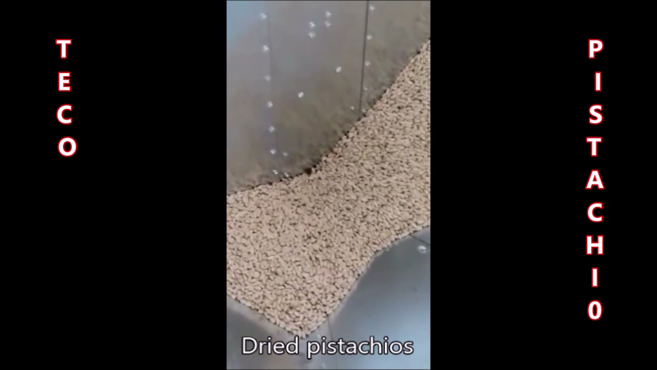 #graindryer #farmingpics #farming #farmlife #harvest #postharvest #harvesting #harvesttime #farm