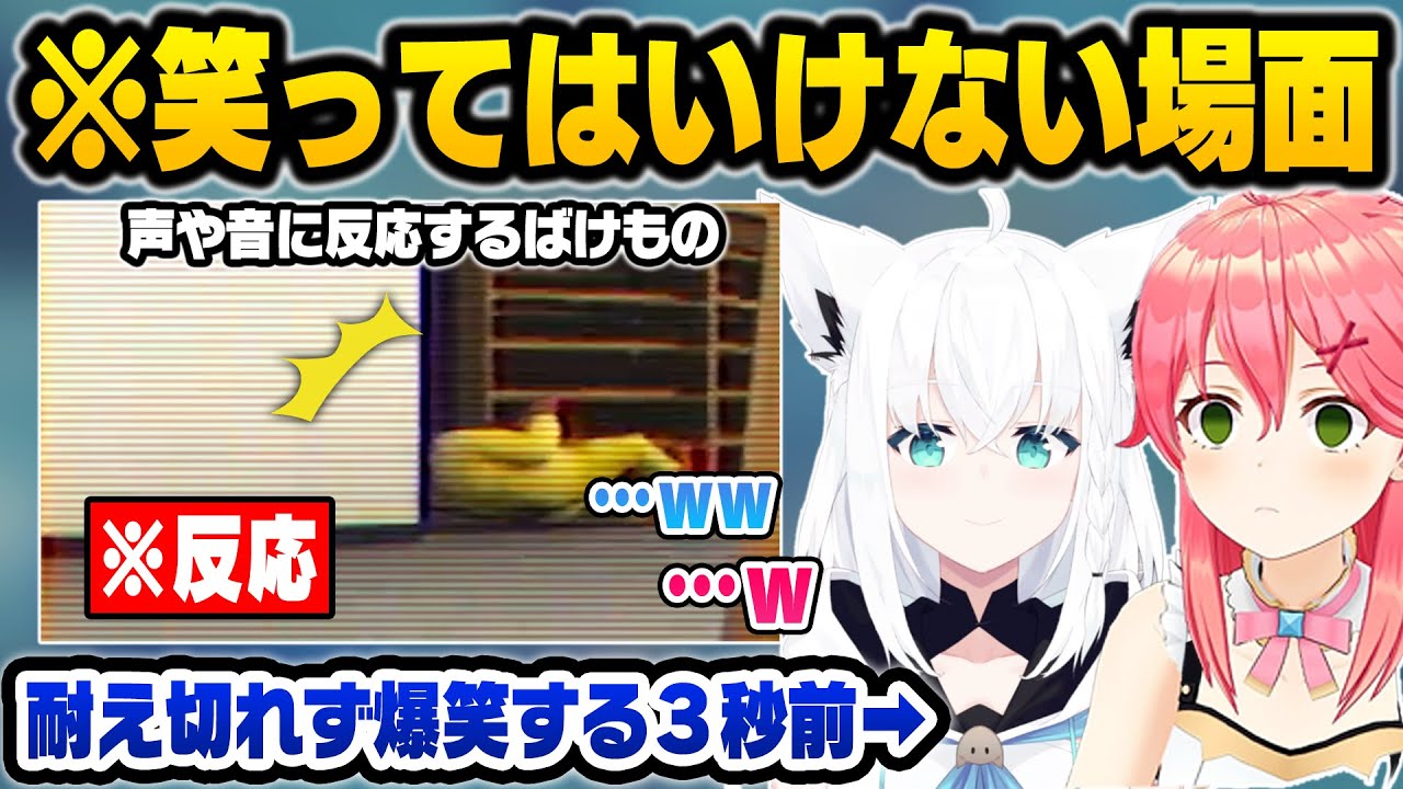 初オフコラボで空気に我慢出来ず爆笑してしまうフブみこw【さくらみこ/白上フブキ/ホロライブ 切り抜き】