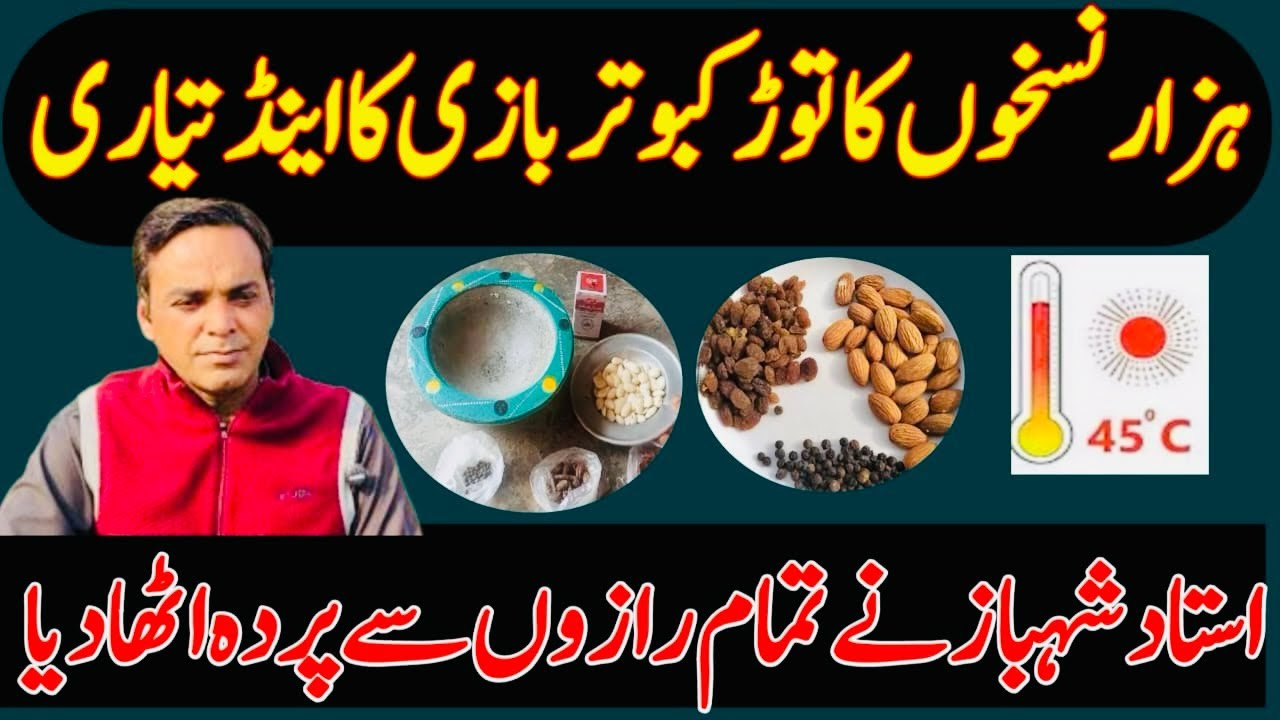 HAZAR NUSKHON KA TOR KABOOTAR BAZI KA END TAYARI USTAD SHAHBAZ NE TAMAM RAZON SE PARDA UTHA DEA 