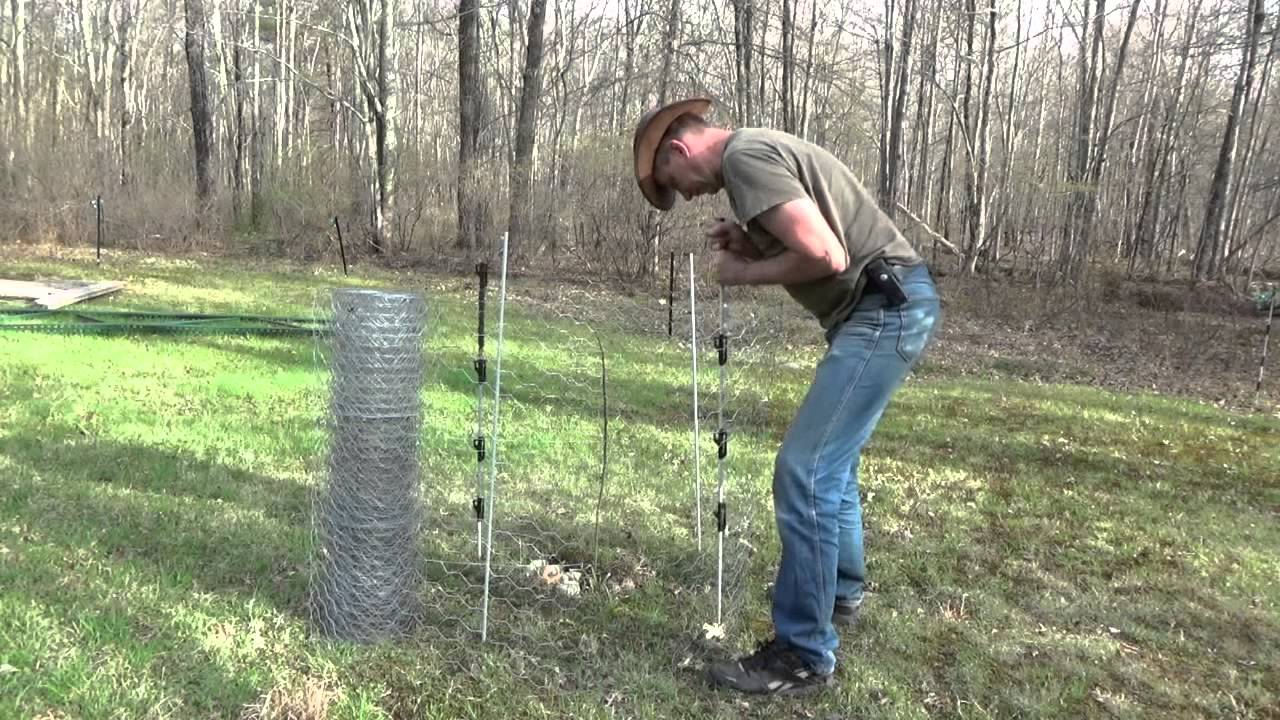 How To Protect Young Trees From Deer & Rabbits & Small Animals
