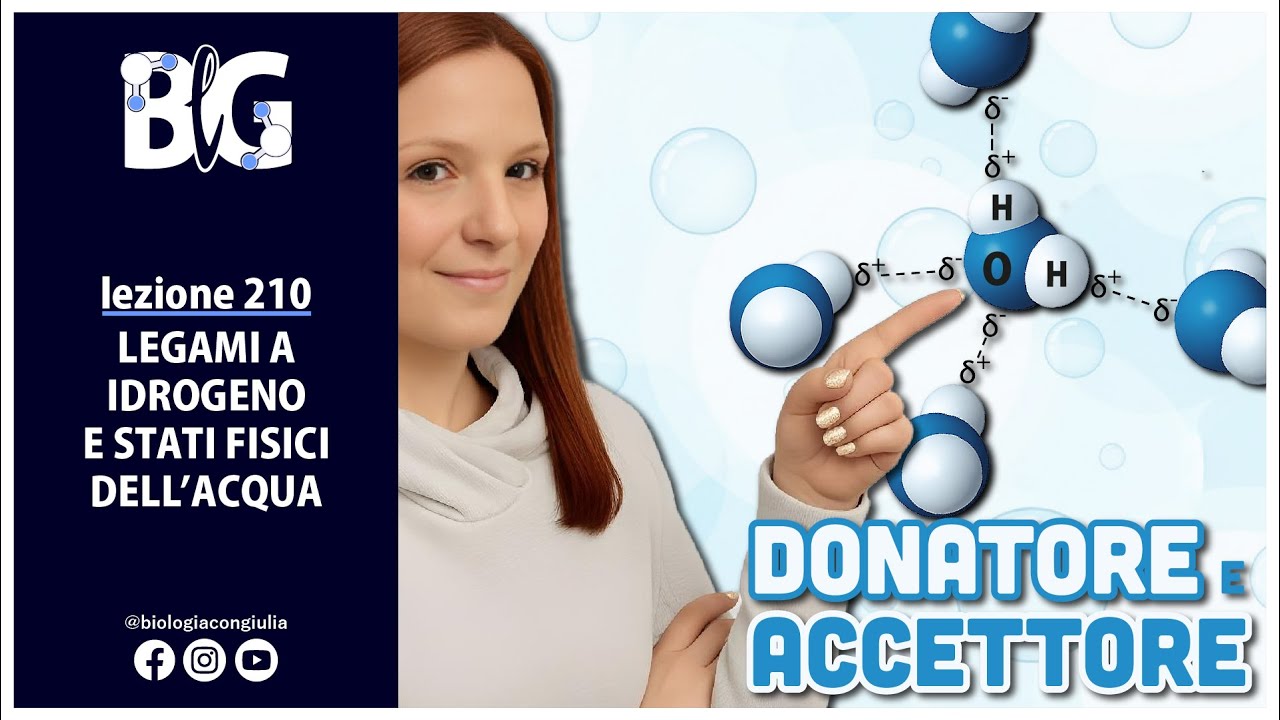 LEGAMI A IDROGENO e STATI FISICI dell'ACQUA