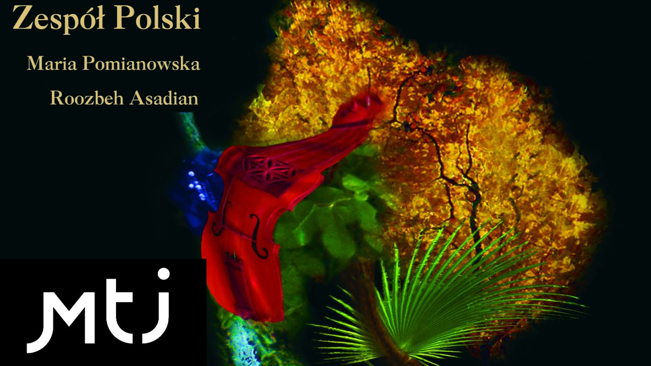 Zespół Polski - Głos dźwięczny