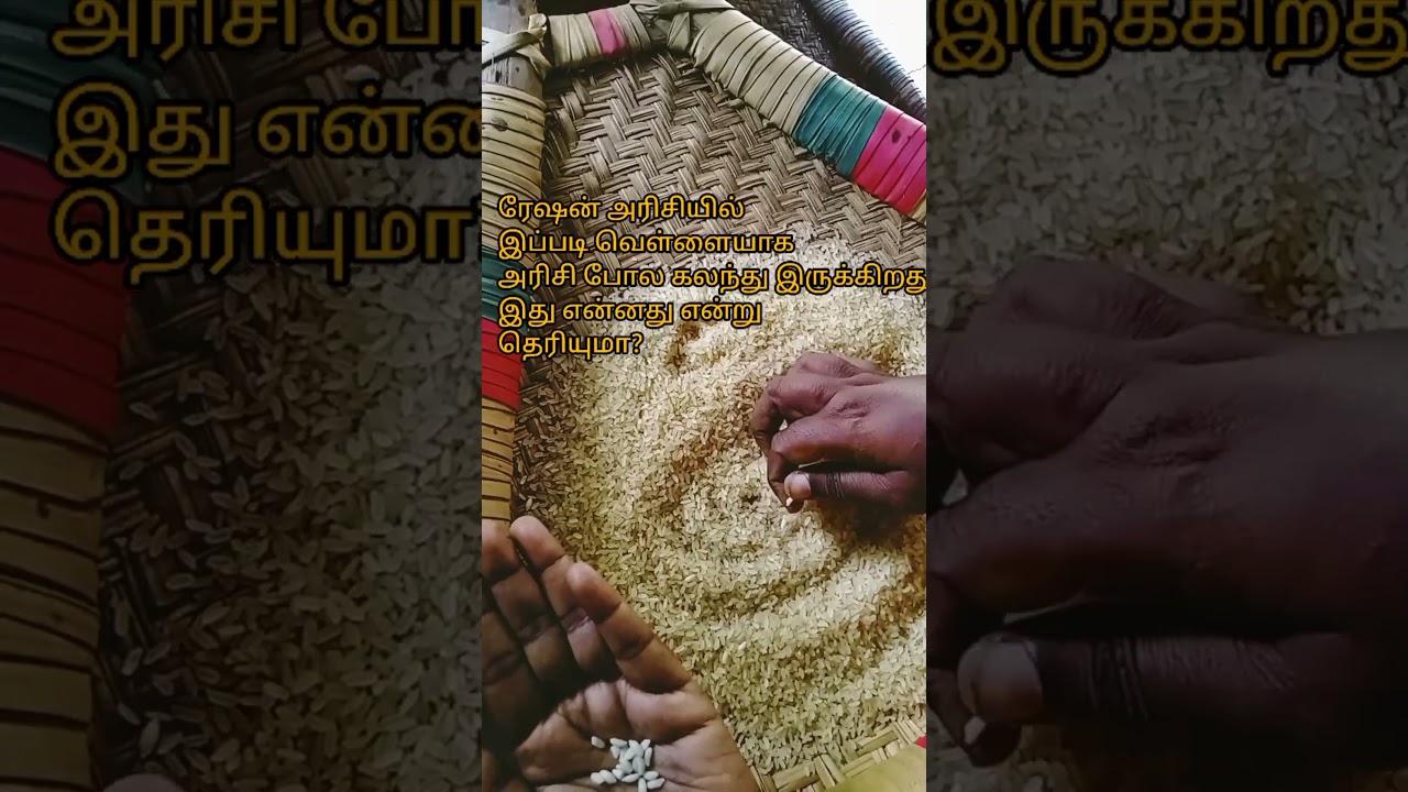 #அரிசி #ரேஷன் #adulteration #foodadulteration #rationshop #tamilnadufood #rice #southindianfood