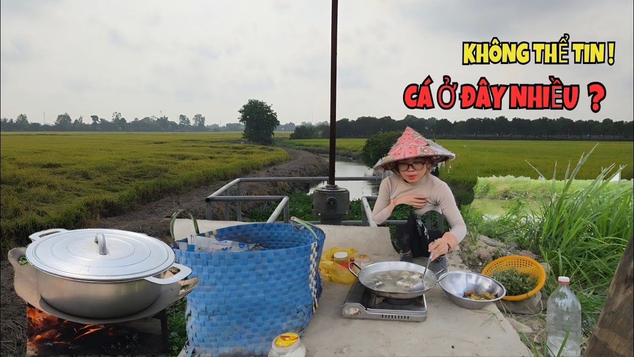 Kh&ocirc;ng Thể Tin 1 Đoạn Đường Ngắn M&agrave; C&aacute; Ở Nhiều Thế N&agrave;y_Ăn Cơm Giữa C&aacute;nh Đồng L&uacute;a Ch&iacute;n..|ONMT #Tập 234