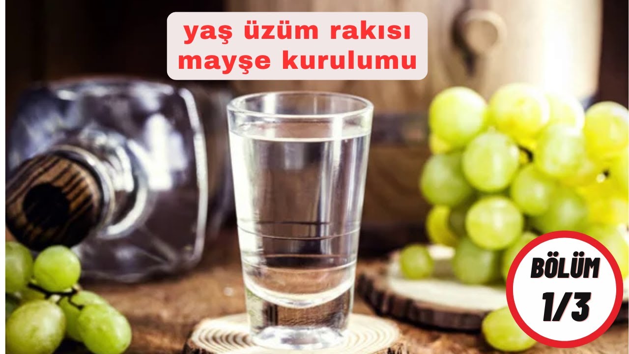 YAŞ ÜZÜM RAKISI MAYŞE KURULUMU | BRENDİ | KONYAK