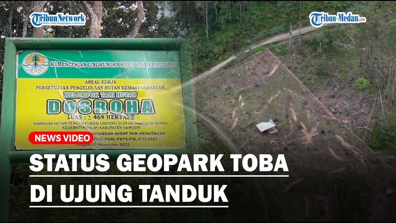 Status Geopark Toba di Ujung Tanduk, Diduga Pembalakan Liar Marak di Samosir, KPH 13 Abai