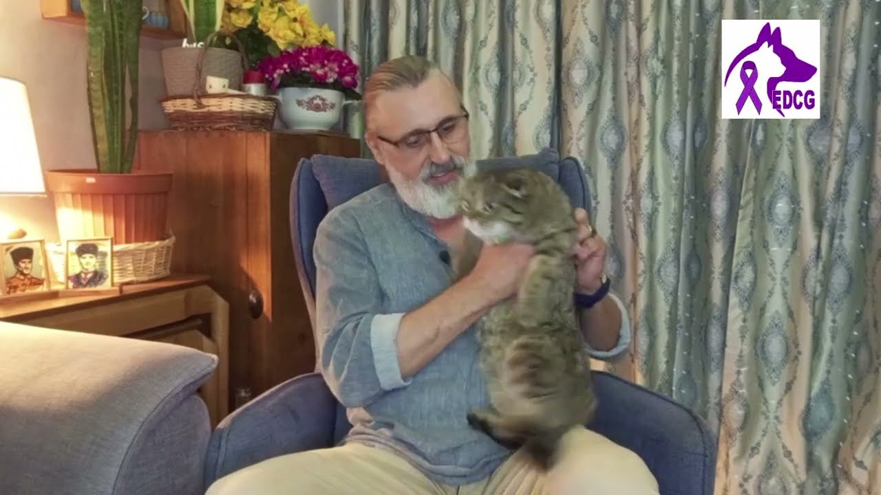 EPİLEPSİ HASTASI KÖPEK - EPİLEPSİ HASTA KÖPEK ARES 004