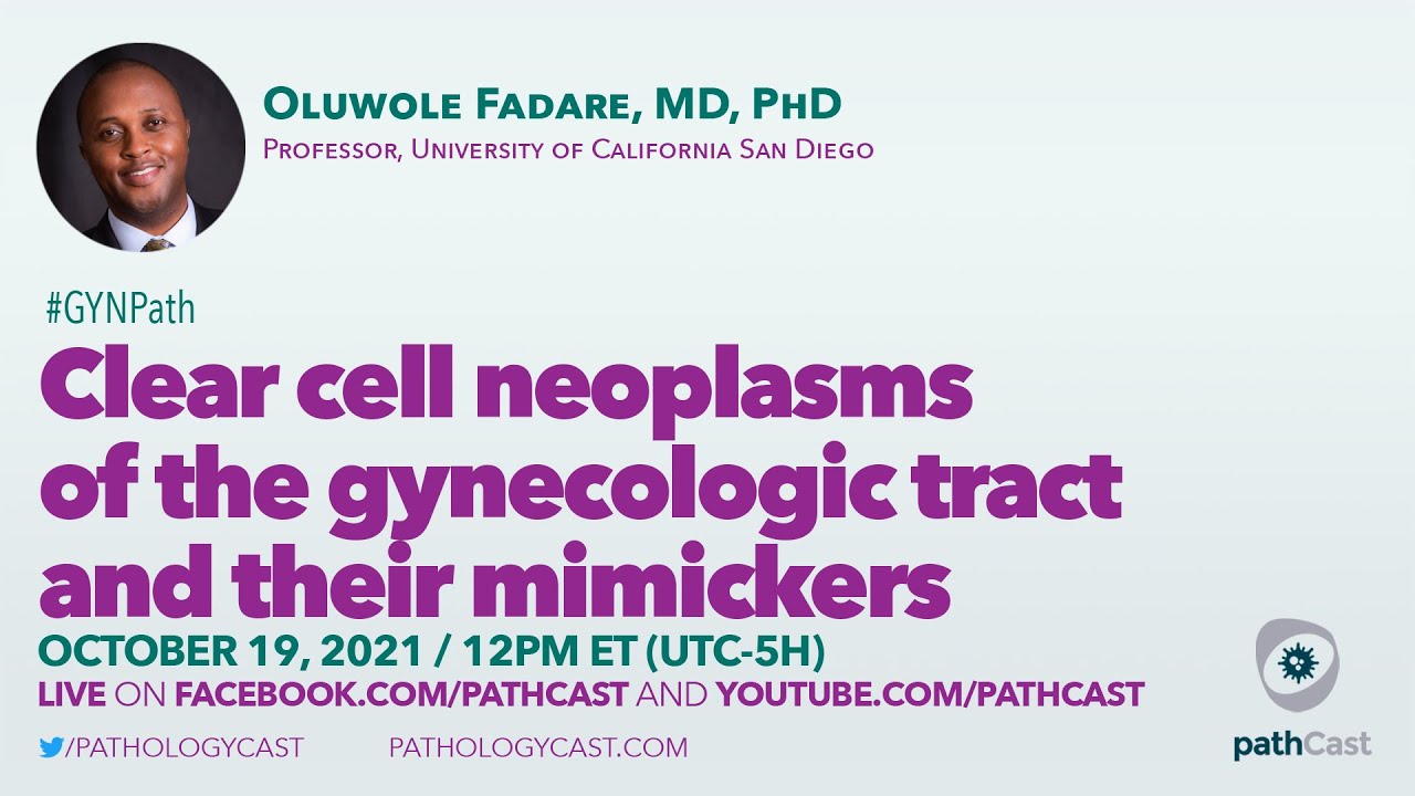 Oluwole Fadare - Clear cell neoplasms of the gynecologic tract and their mimickers