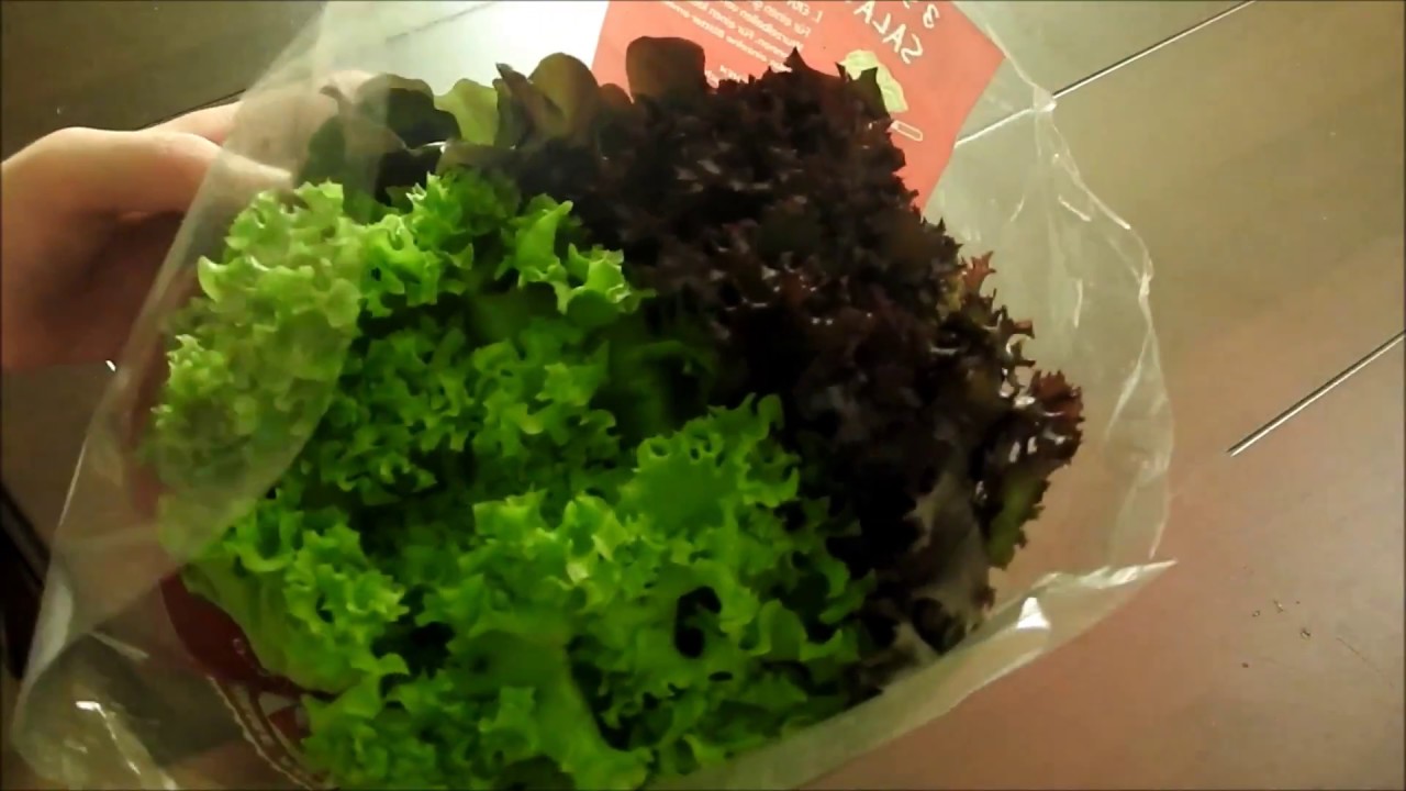 Frischfutter Haul für die Kaninchen.