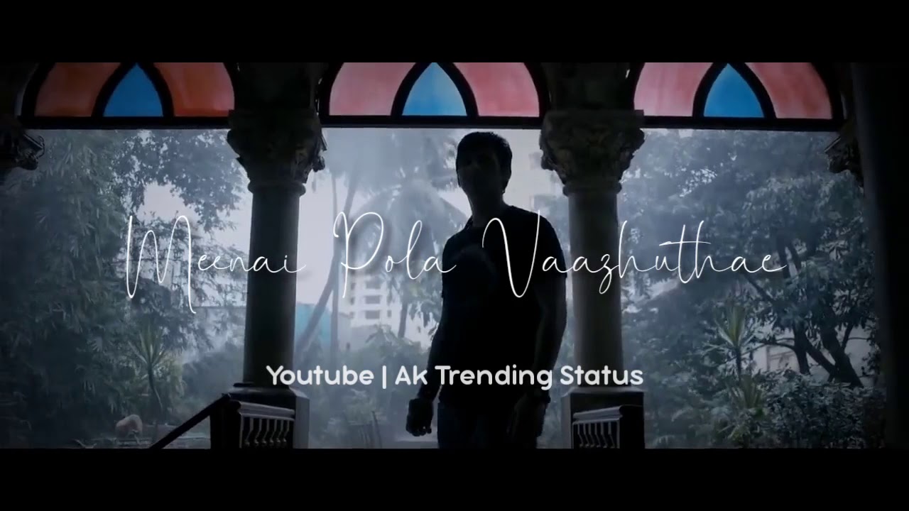 Kanave kanave whatsapp status | David | Vikram | Jeeva