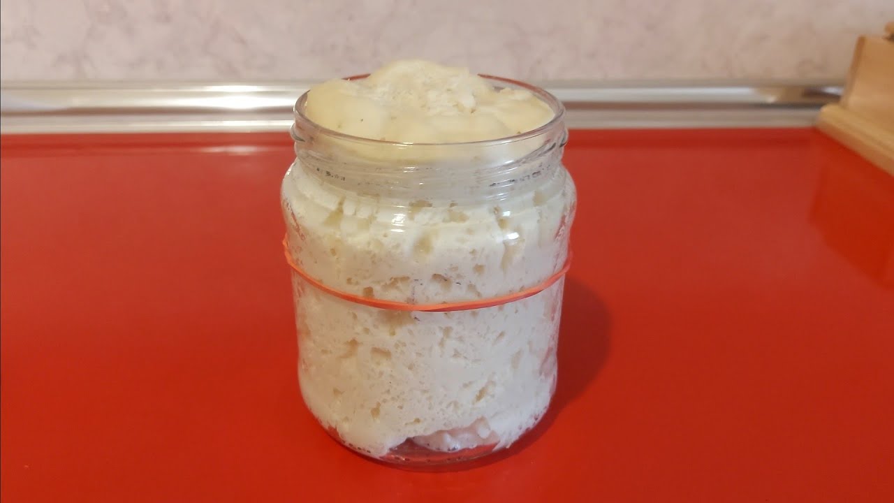 Իտալական թթխմոր Levito madre/Italian sourdough levito madre/итальянская закваска Левито мадре
