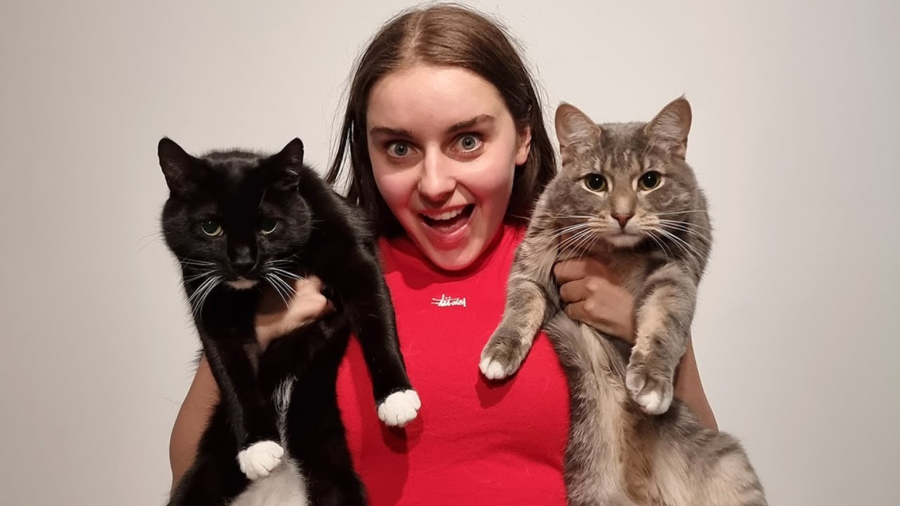 what ONE YEAR of having cats does to you...