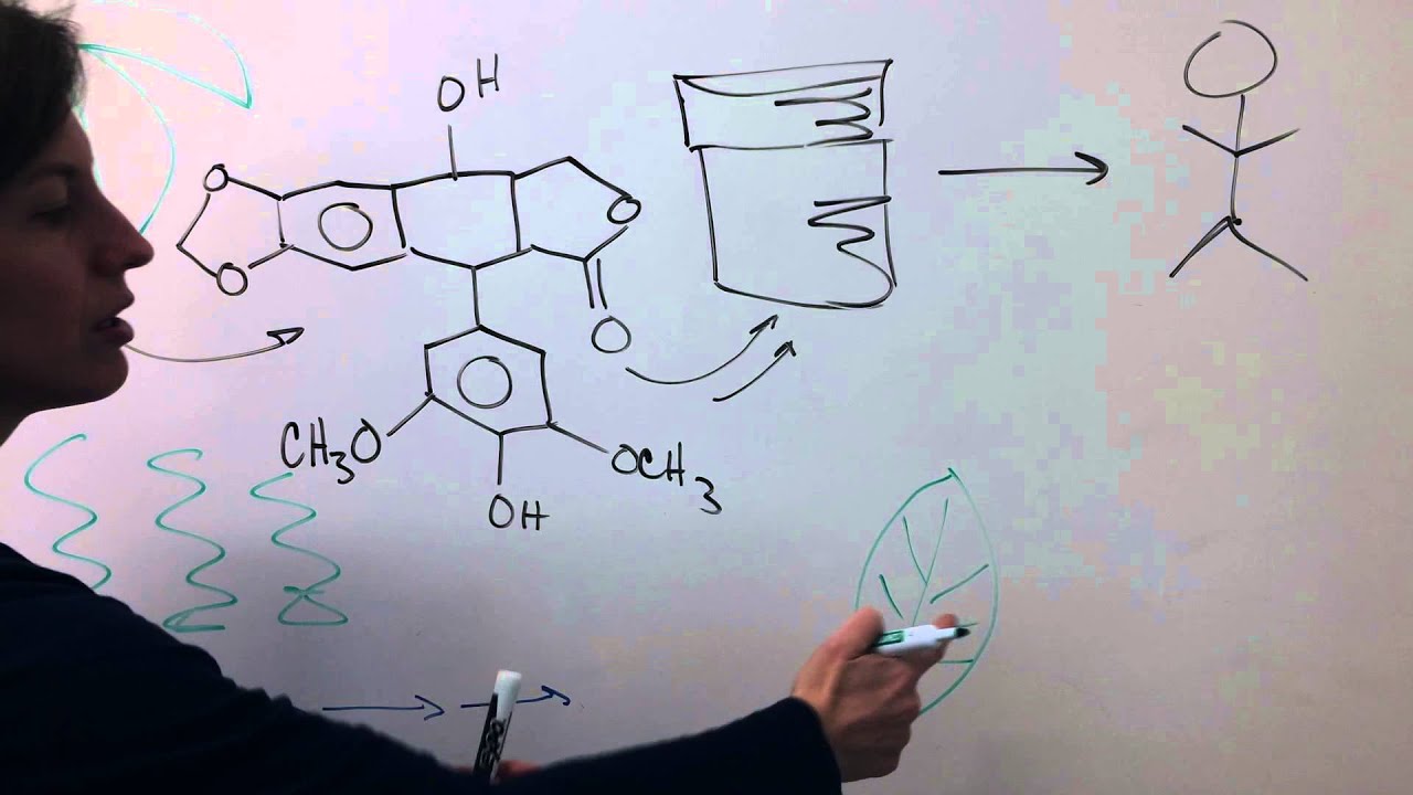 Stanford scientists produce cancer drug in a plant