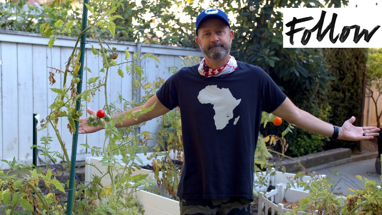 Gardening God's Way