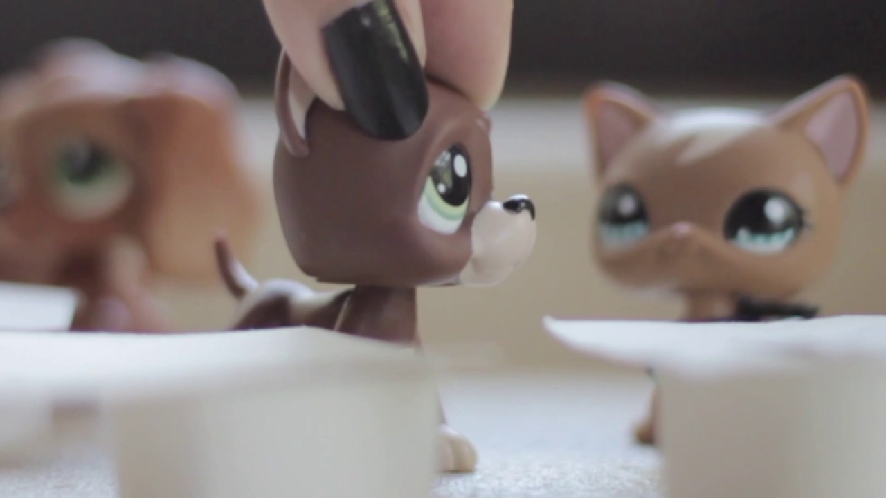 Littlest Pet Shop: Stardom Rivalry Ep. 7 (Make Up For What You Did.)