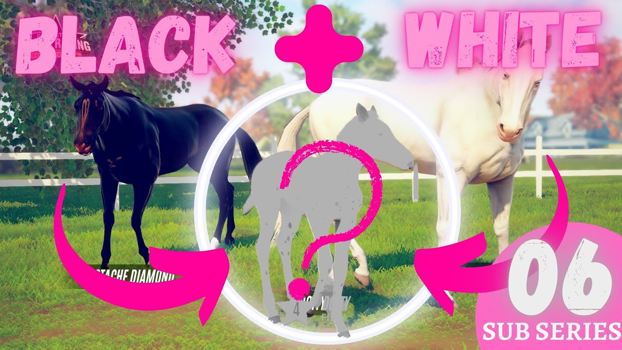 Breeding ONLY pure white and pure black horses together! Rival Stars Horse Racing