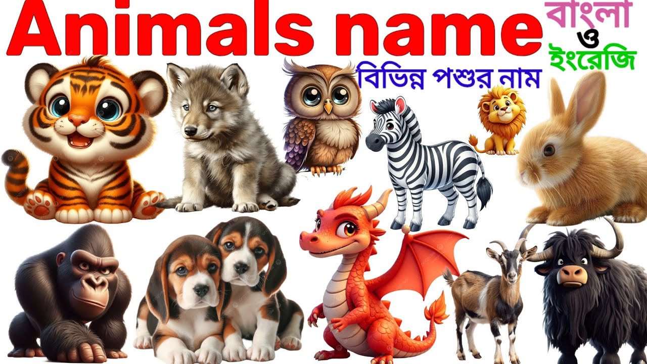 Animals Name 🐯🐕| Animals Name in Bengali to English With Pictures | Animals Name for Kids | Animals