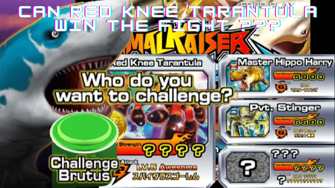 Play Animal Kaiser Evolution 6 II Normal Mode II Redknee Tarantula II Can Win the Fight ??