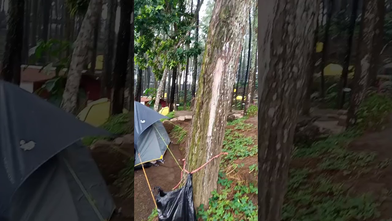 ALAS VENUZ TRAWAS - Tenda Wildshell Navageo 6, plus Flysheet Hexagonal. #camping #tenda