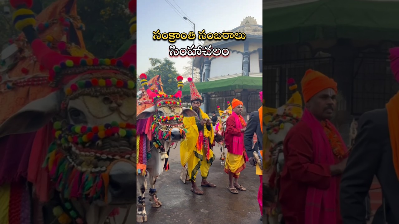 Sankranti celebrations at Simhachalam temple | Simhachalam | vizag | Vizag Traveller  