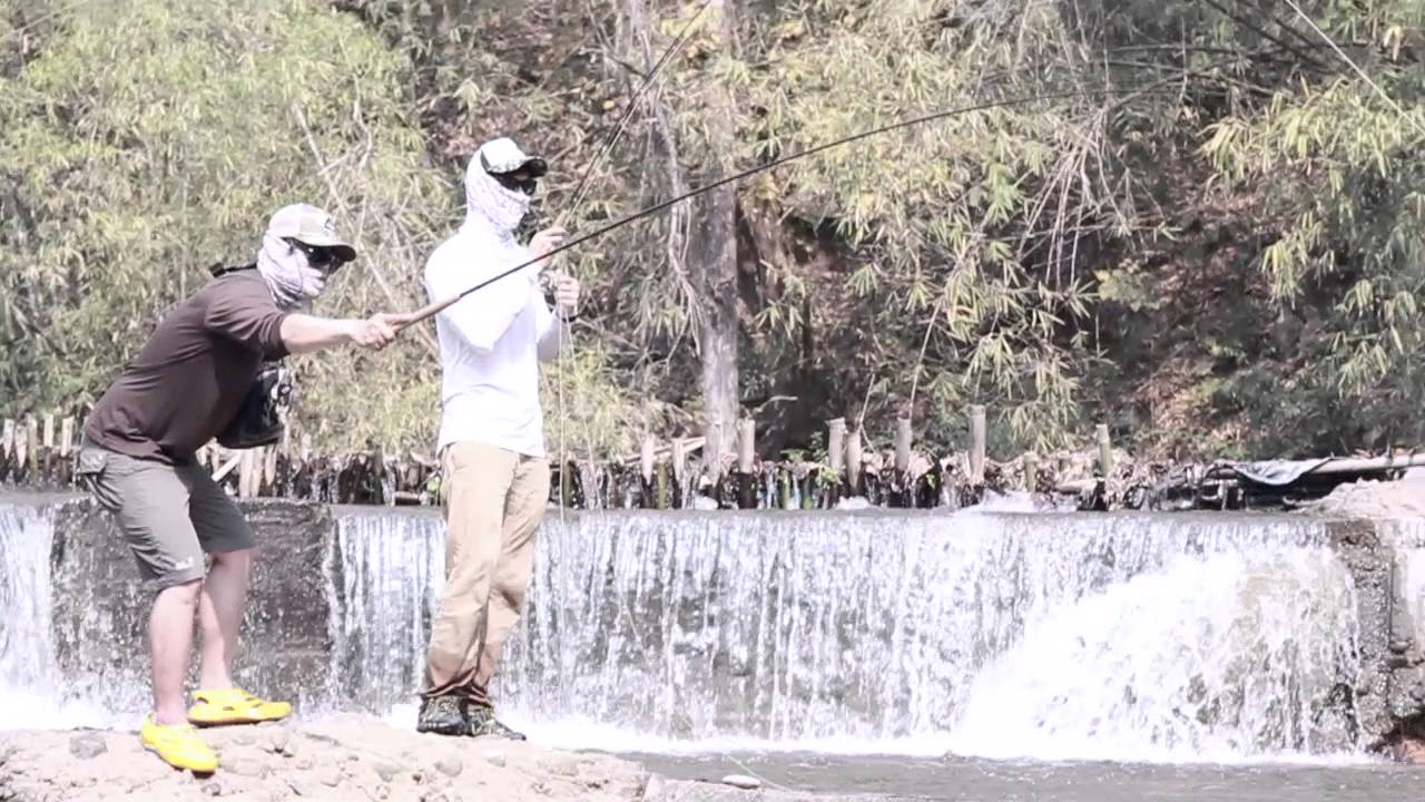 MFDs #12 Day1 Burmese Trout Thailand Full30s.