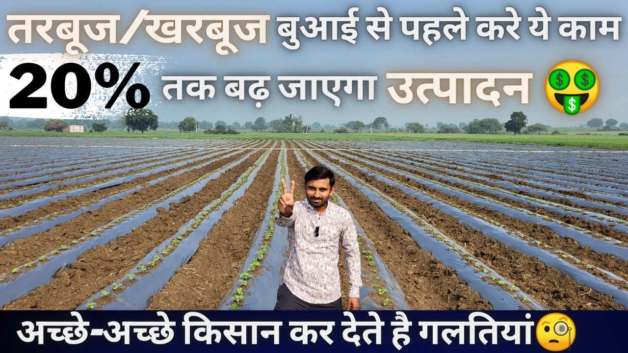 तरबूज/खरबूज का उत्पादन 20% बड़ाने के TOP SECRETS🔥| #watermelon_farming | #tarbuj | #muskmelon