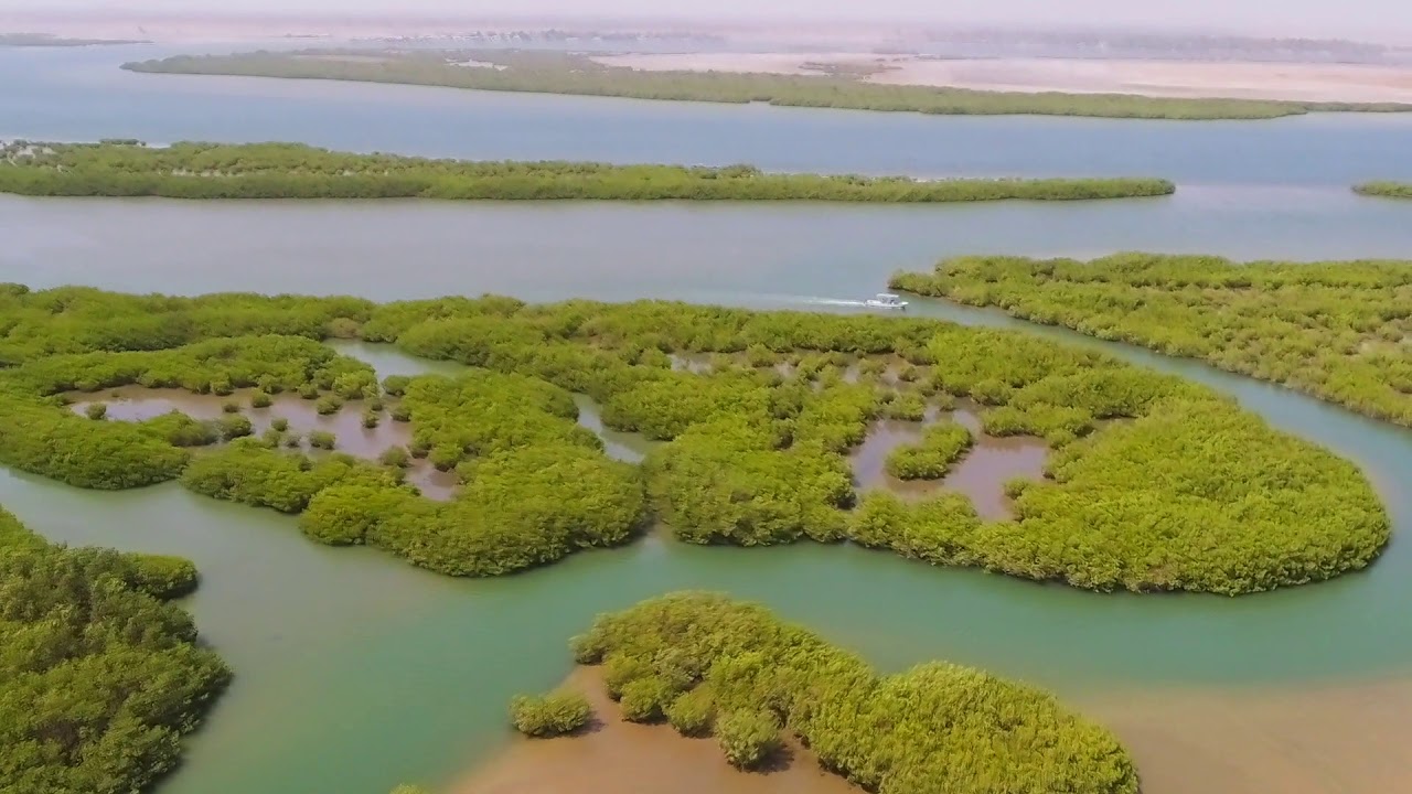 Ndangane - Sine Saloum Island
