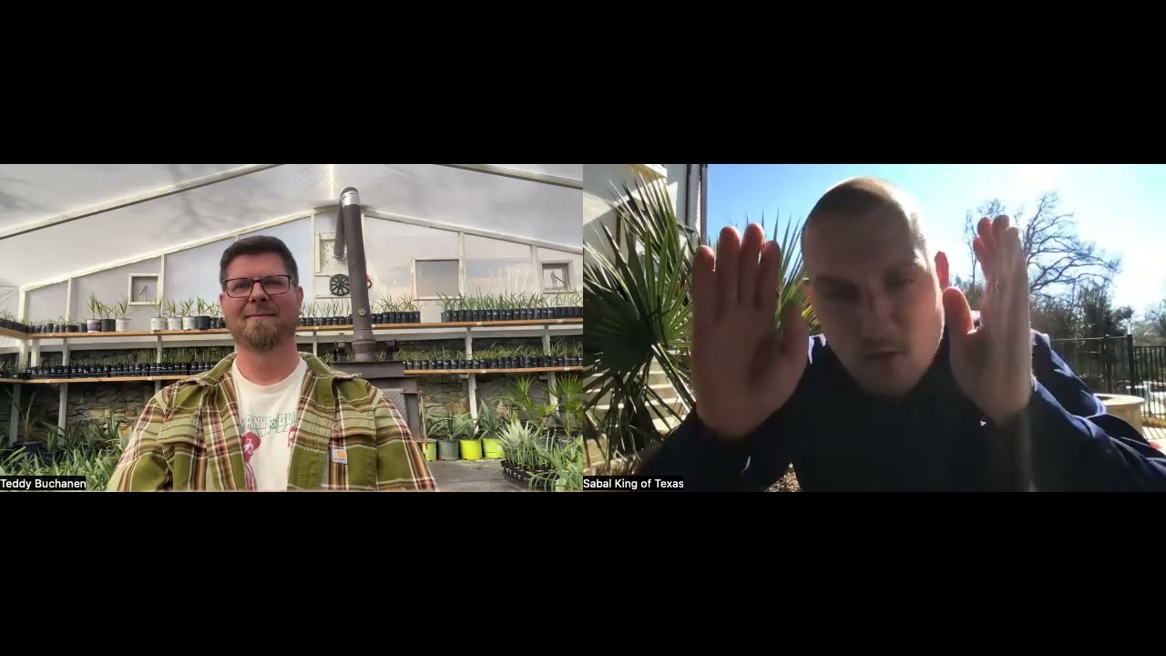 🌴 Palmcast – Episode 2: Our Journey as Growers & Building a Business pt. 2 🎙️