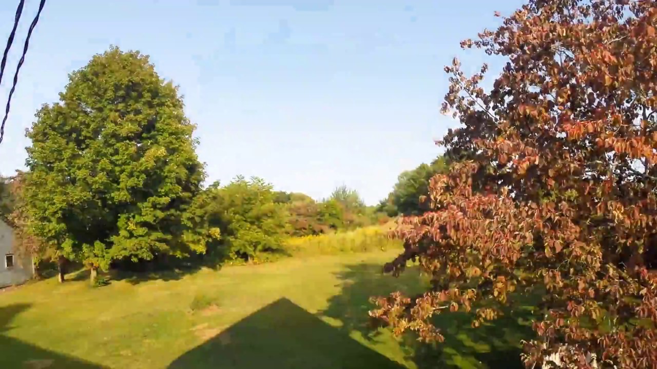1 Year Time Lapse