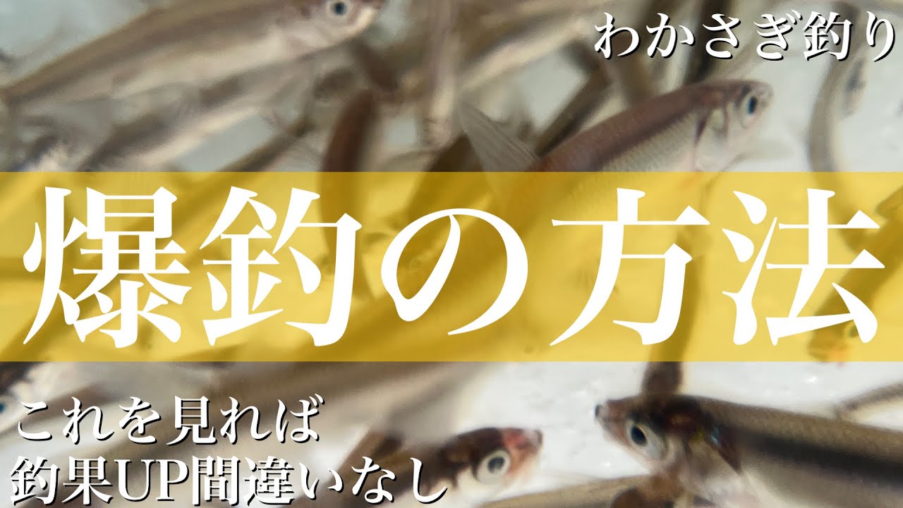 《ワカサギ釣り》これが出来れば誰でも爆釣間違いなし！？【爆釣の方法】