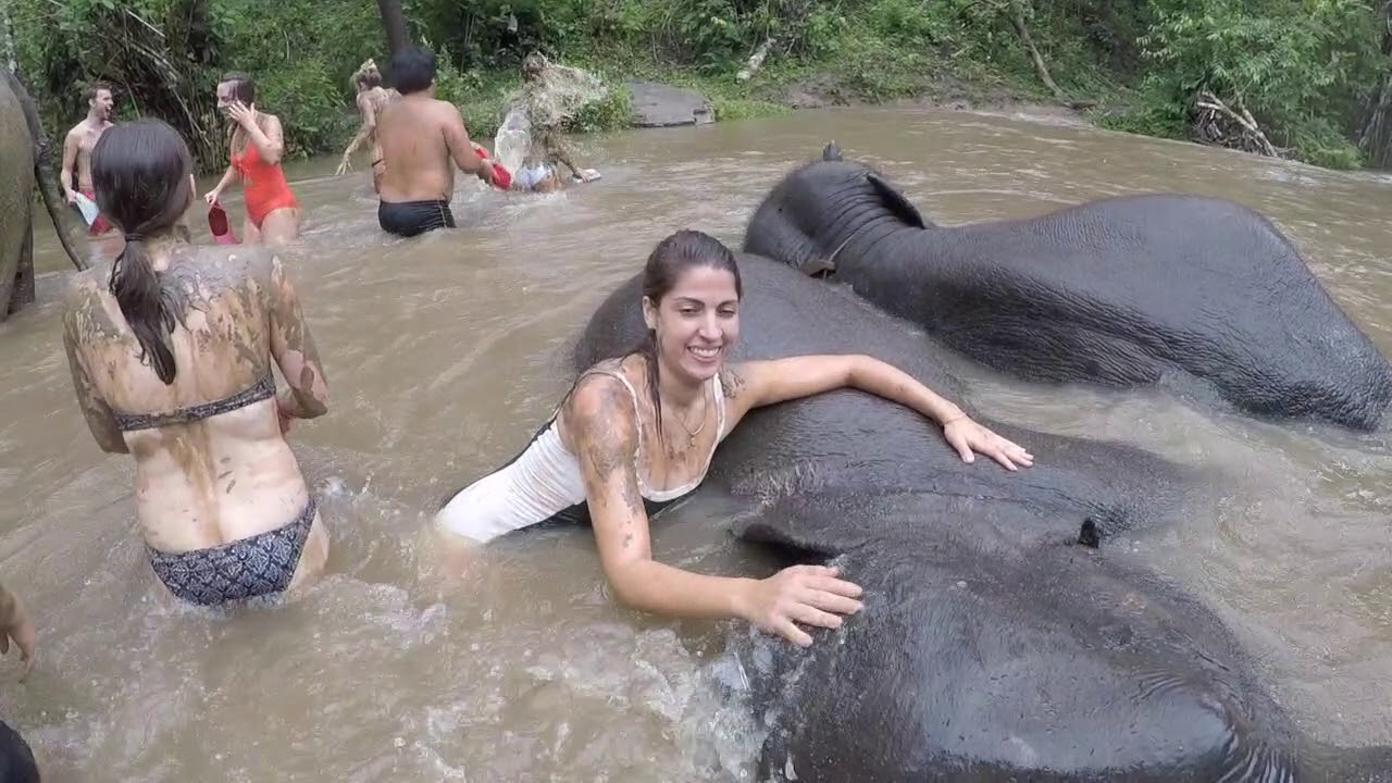 Chiang Mai Elephant Sanctuary
