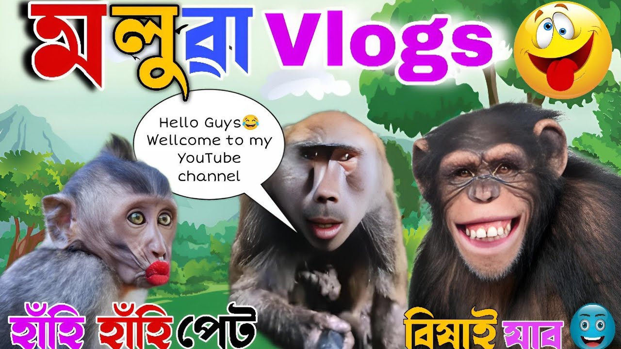 মলুৱা বান্দৰ Vlogs😆😂 হাঁহি হাঁহি পেট বিষাই যাব😆😁 Assamese Funny Dubbing Video//Mr Vashu