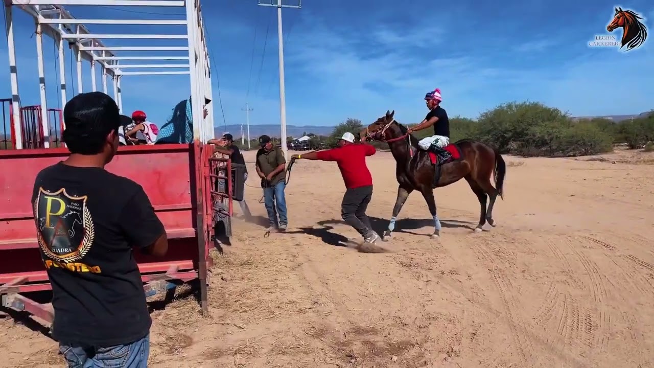 El trébol cuadra 5 de mayo vs la Alexa cuadra García 