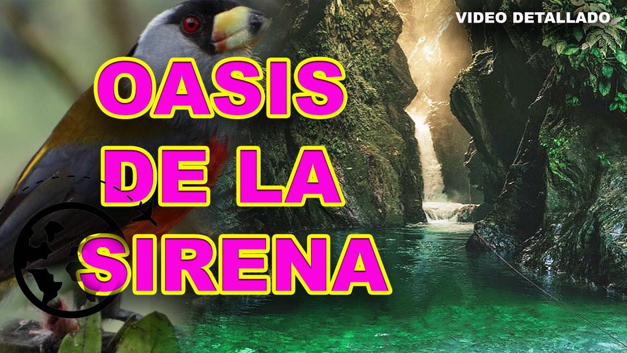 Más COMPLETO 🏞️ | OASIS de la sirena 🧜| Rio Danubio, CASCADA los caleños | 7 piscinas y Laguna