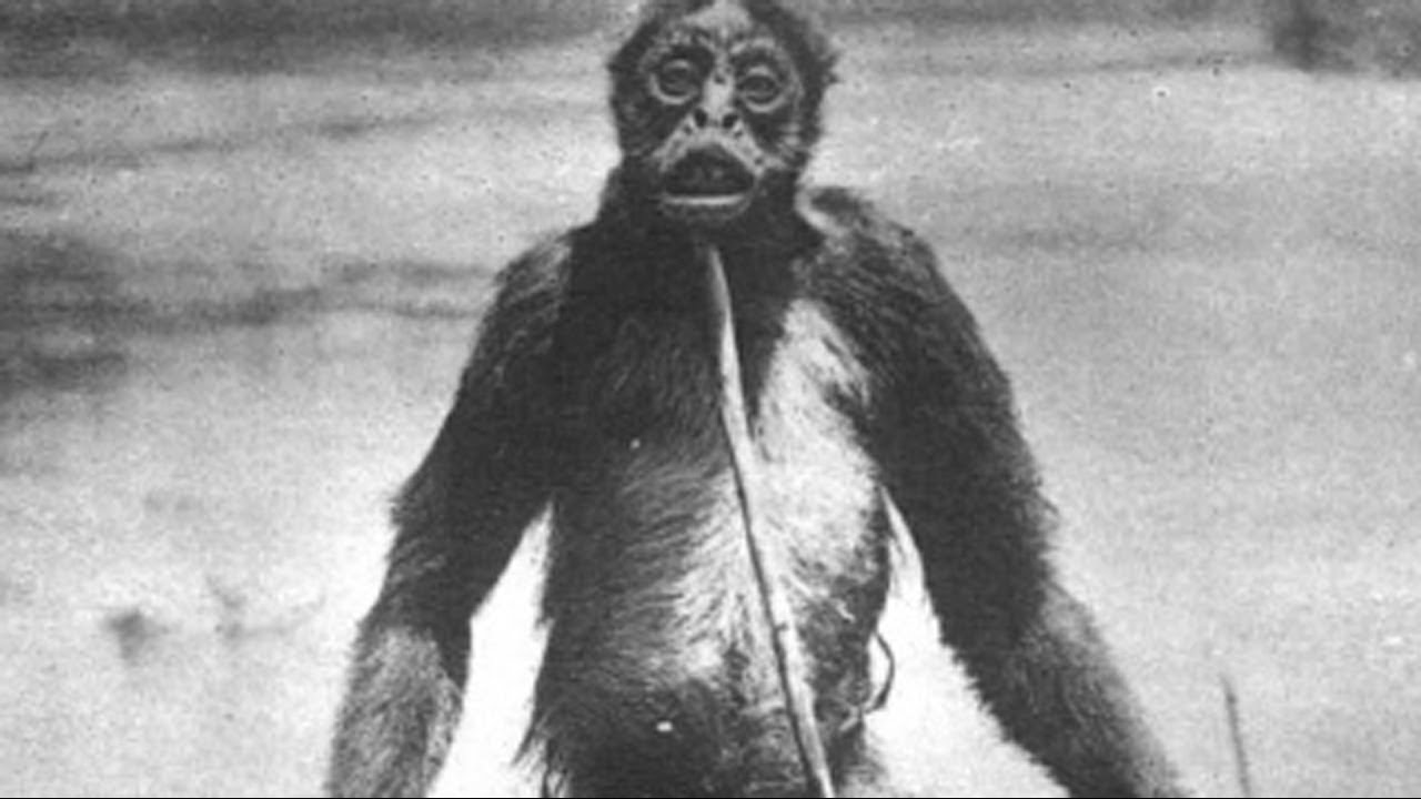 De Loys' Ape: A Eugenics Inspired Hoax?