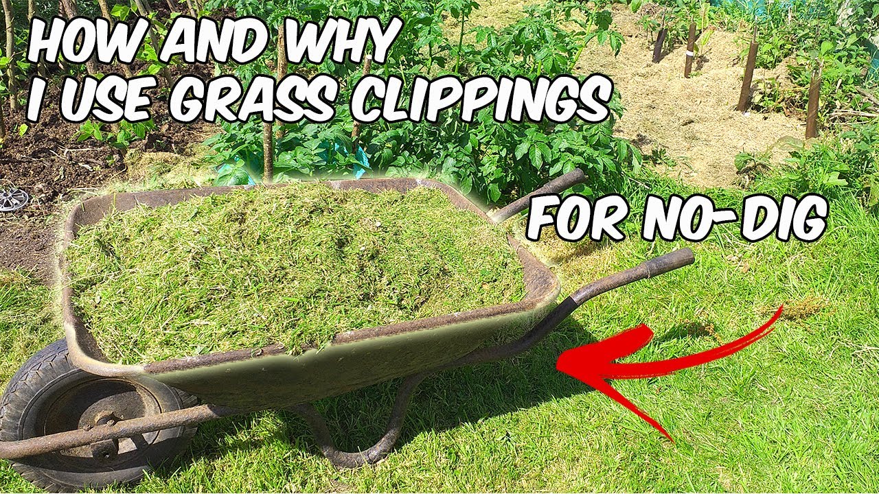 How And Why I Use Grass Clippings In A NO-DIG Vegetable Garden