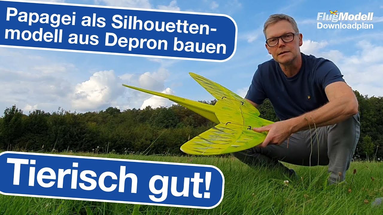 Papagei als Downloadplanmodell - Konstruktion von Thomas Buchwald für FlugModell 12/2023