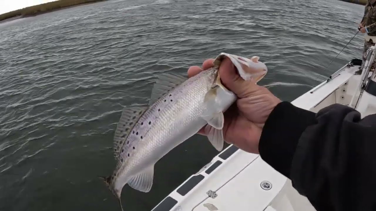 Shell Beach Fishing Trip MRGO Dam Speckled Trout Redfish Marsh Bayou Jigging Soft Plastics